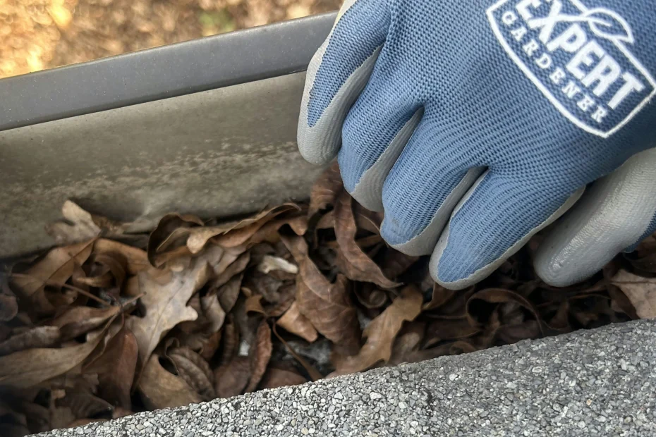 Colonial Heights Gutter Cleaning