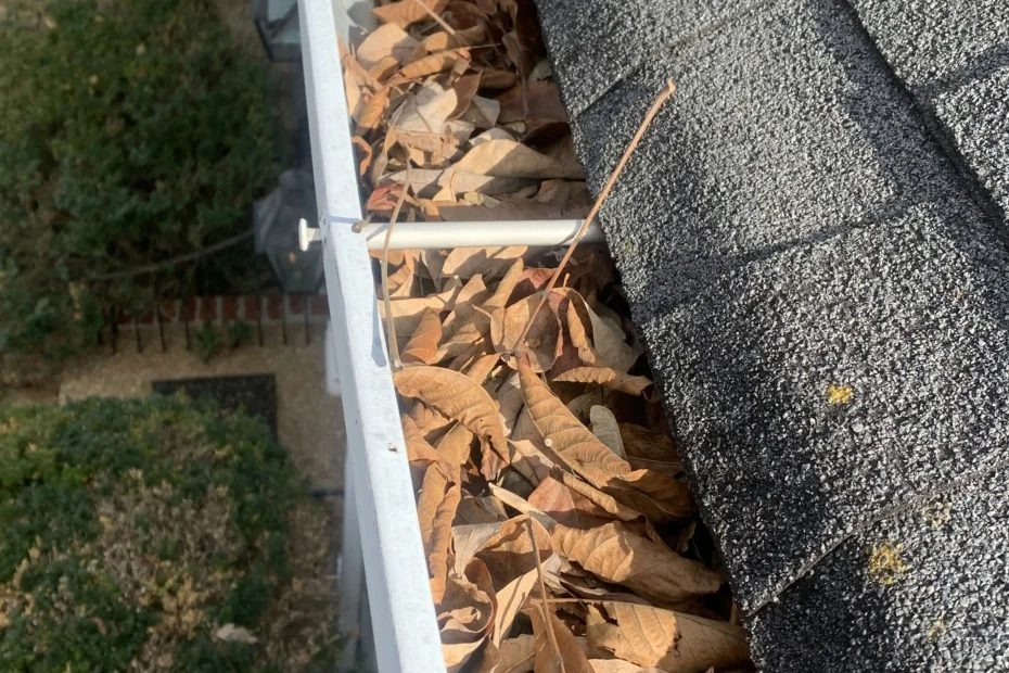 Colonial Heights Gutter Cleaning