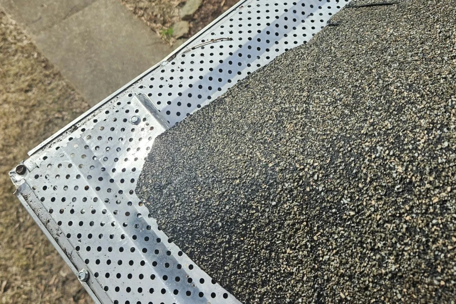 Colonial Heights Gutter Cleaning