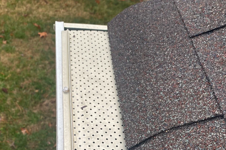 Colonial Heights Gutter Cleaning