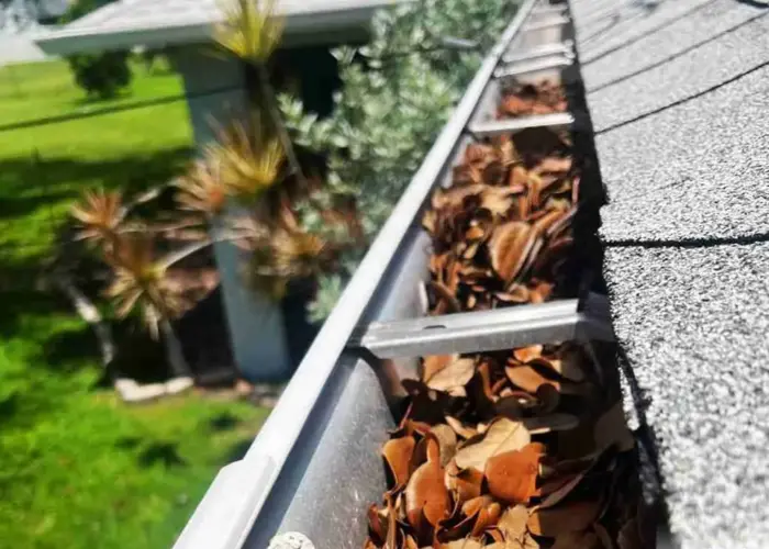 Colonial Heights gutter cleaning home page